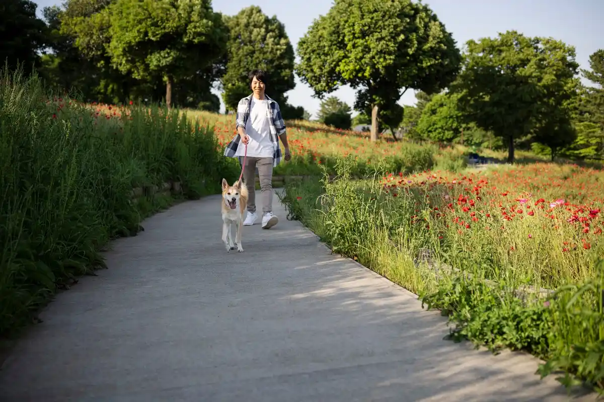 walking in Amsterdam green parks healthy lifestyle