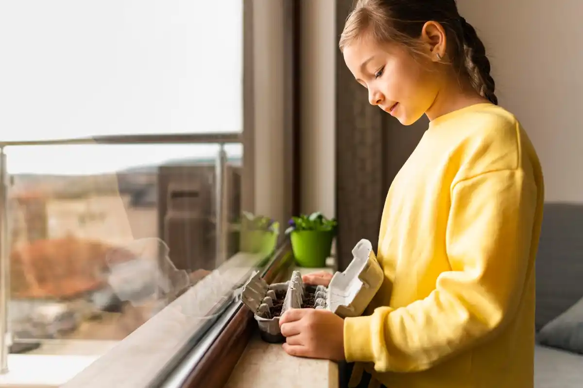 fresh air window indoor house