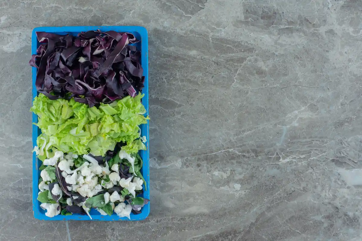 fresh crisp vegetables in refrigerator drawer
