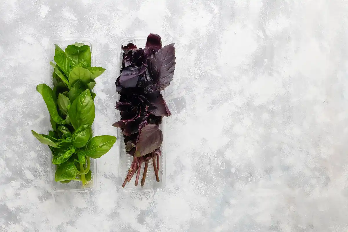 fresh herbs cooking kitchen