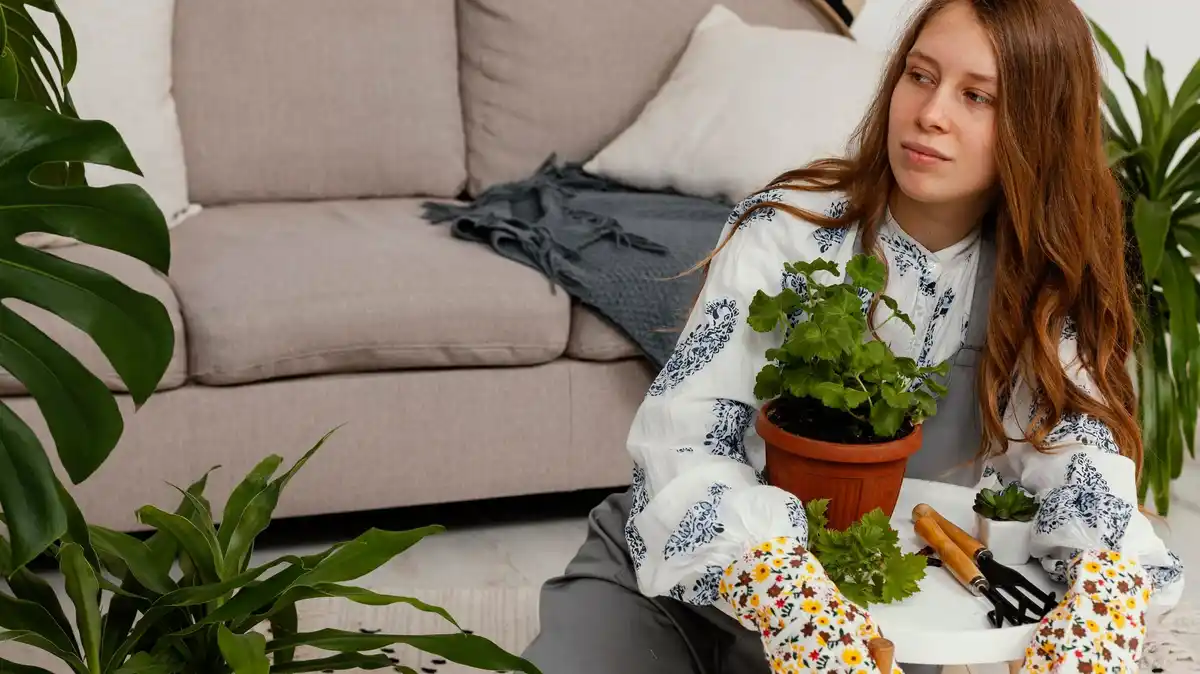 fresh home air natural ventilation plants