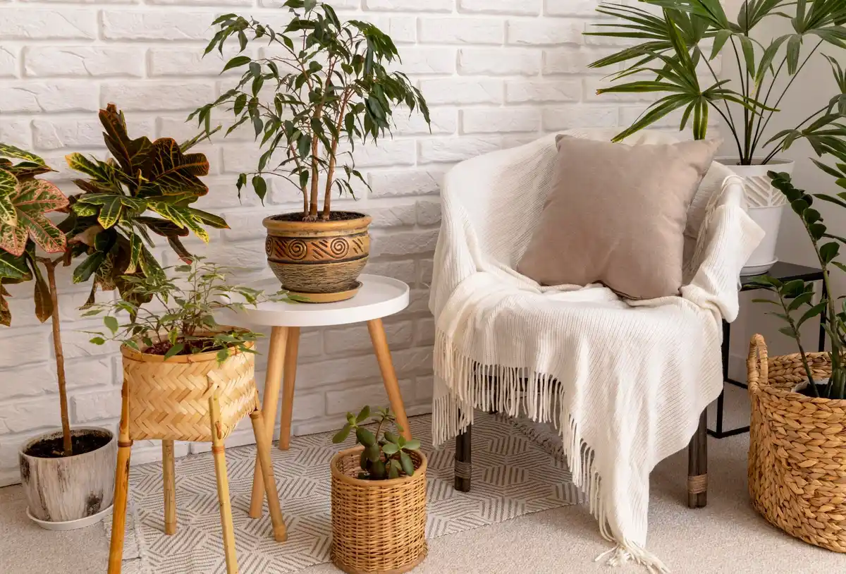fresh and cozy Dutch home interior with plants and natural light