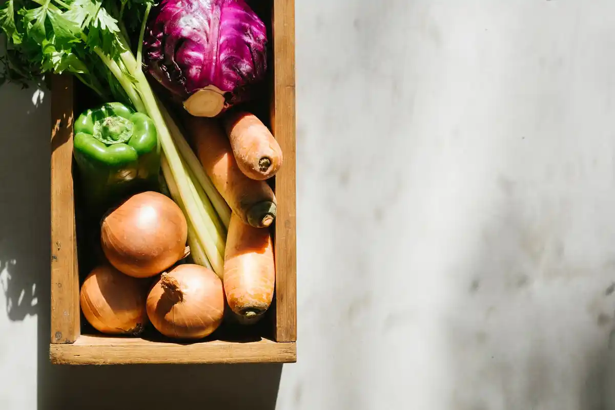 fresh dutch market vegetables healthy food