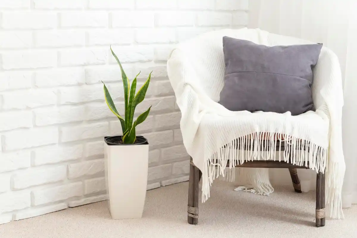 clean minimalist living room tidy and fresh