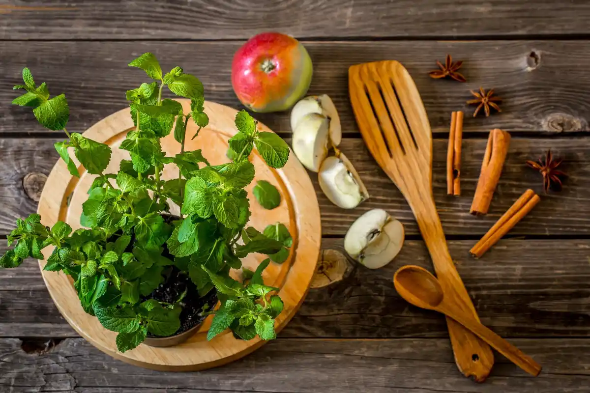 dutch home cooking kitchen utensils fresh herbs