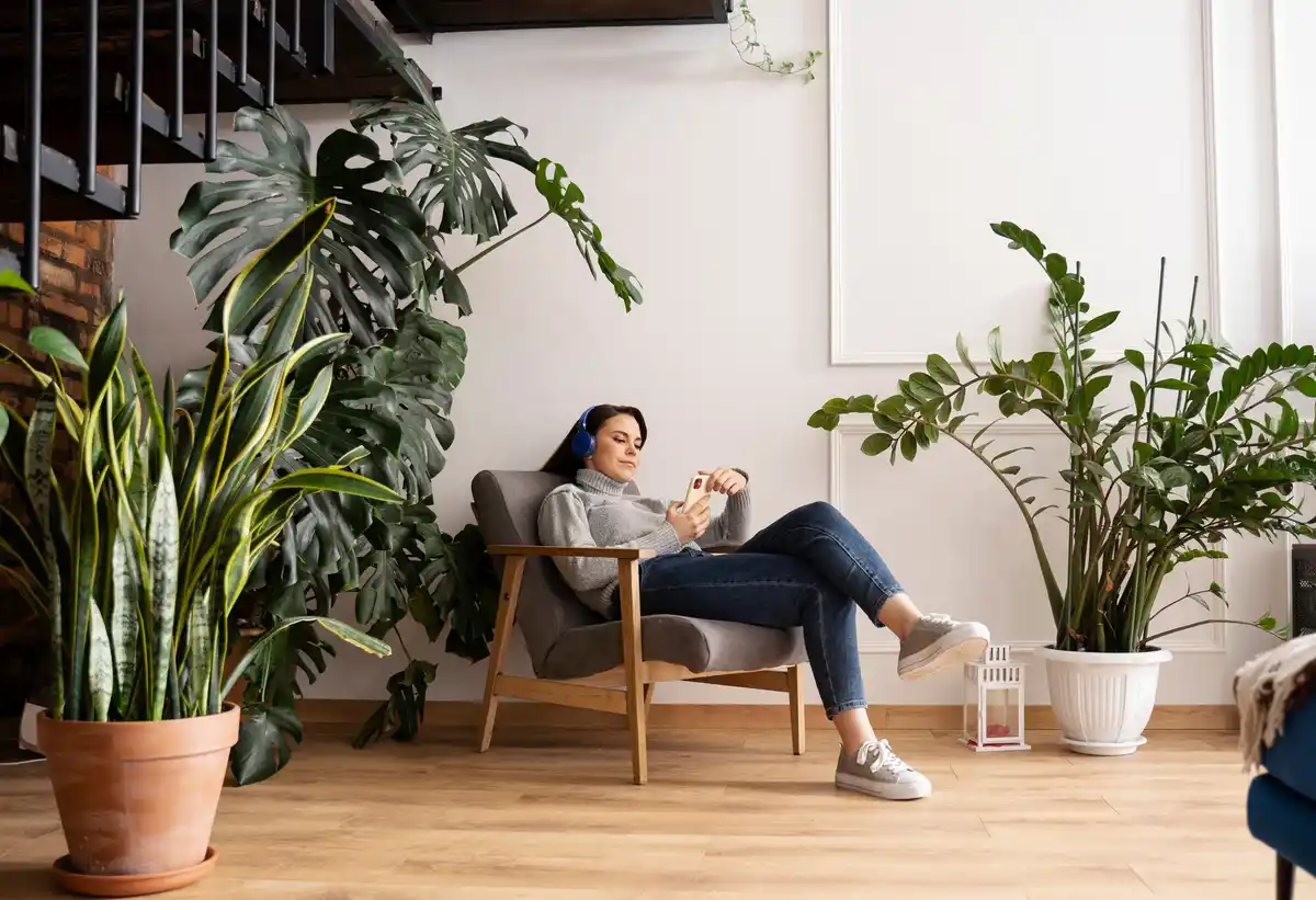 minimalist home clutter free living room plants natural light