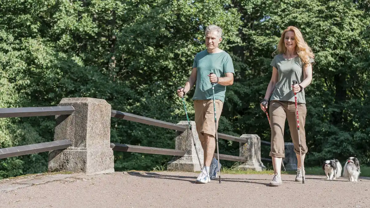 simple healthy lifestyle Netherlands walking cycling fresh food