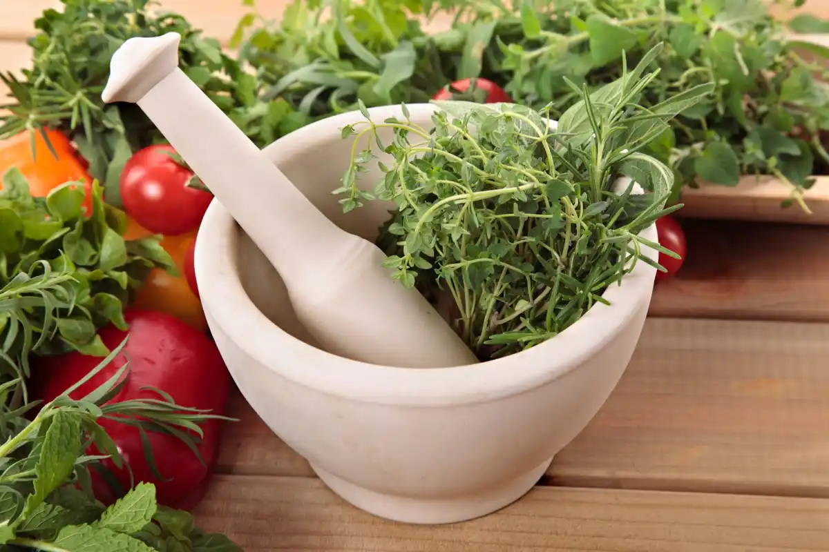 fresh herbs cooking kitchen