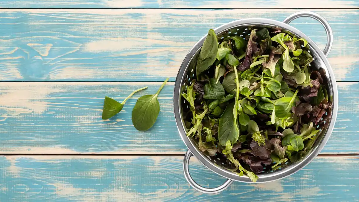 Fresh Dutch herbs in kitchen