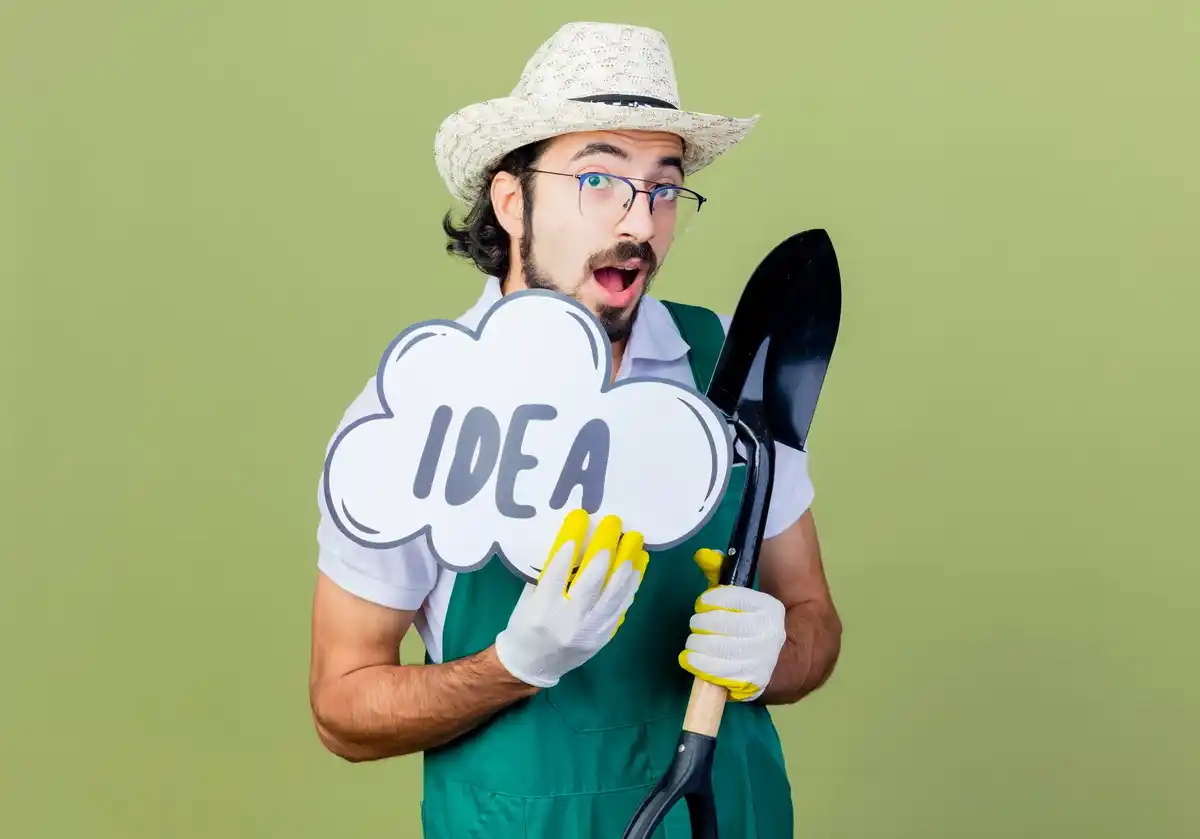 creative beginner tips Netherlands