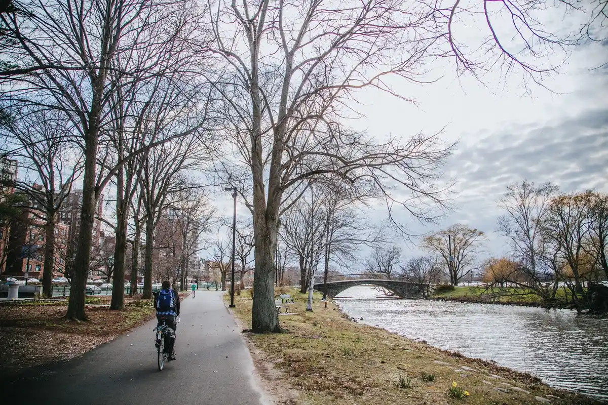 morning walk amstel river holland
