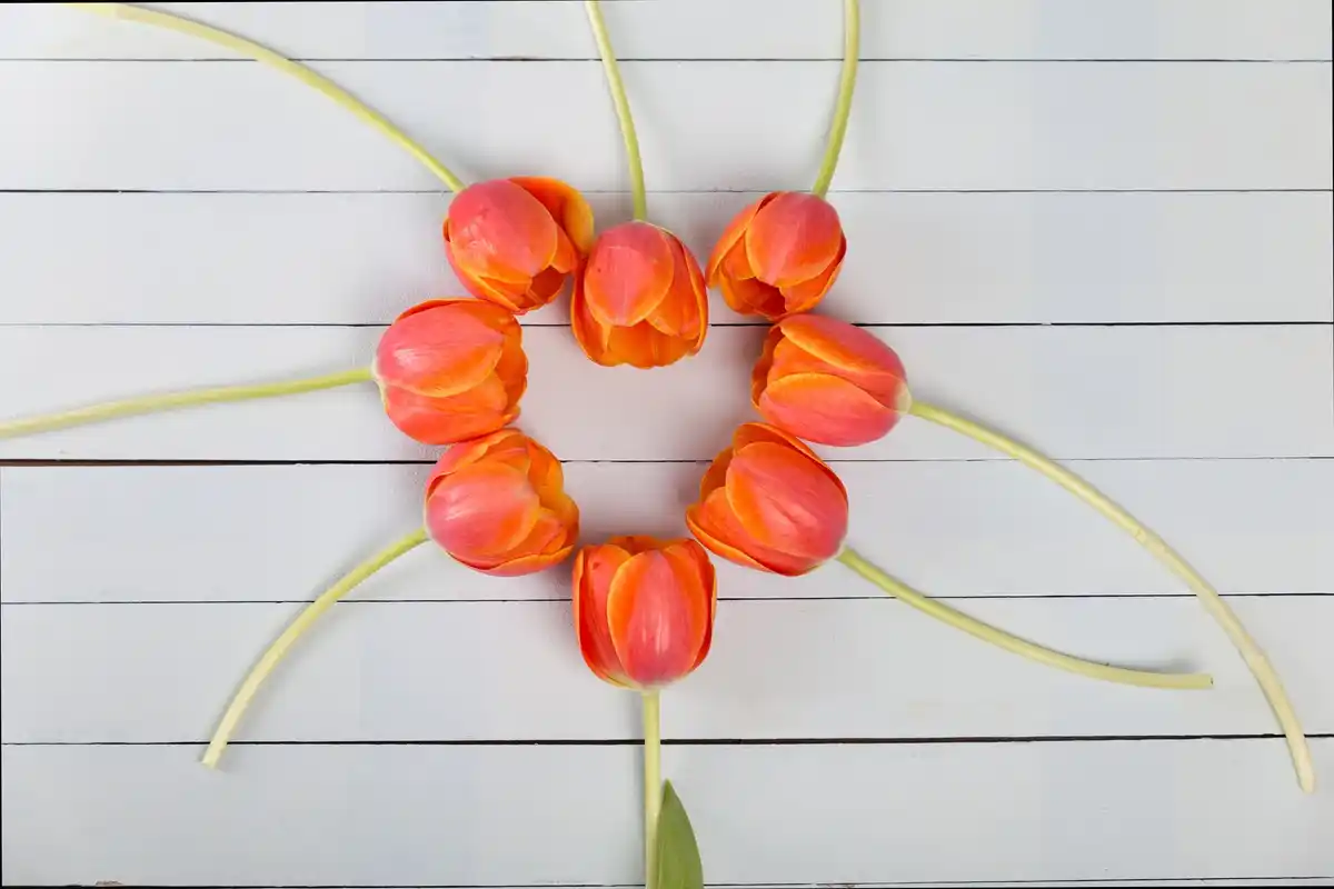 easy DIY crafts Netherlands