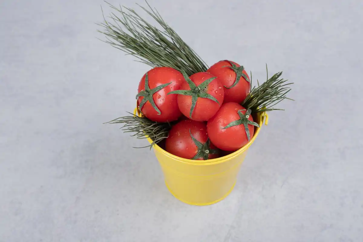 fresh tomatoes and potatoes on kitchen counter