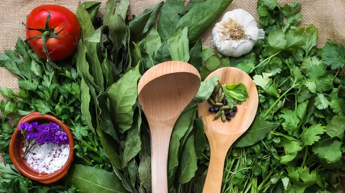 kitchen herbs fresh spices cooking ingredients