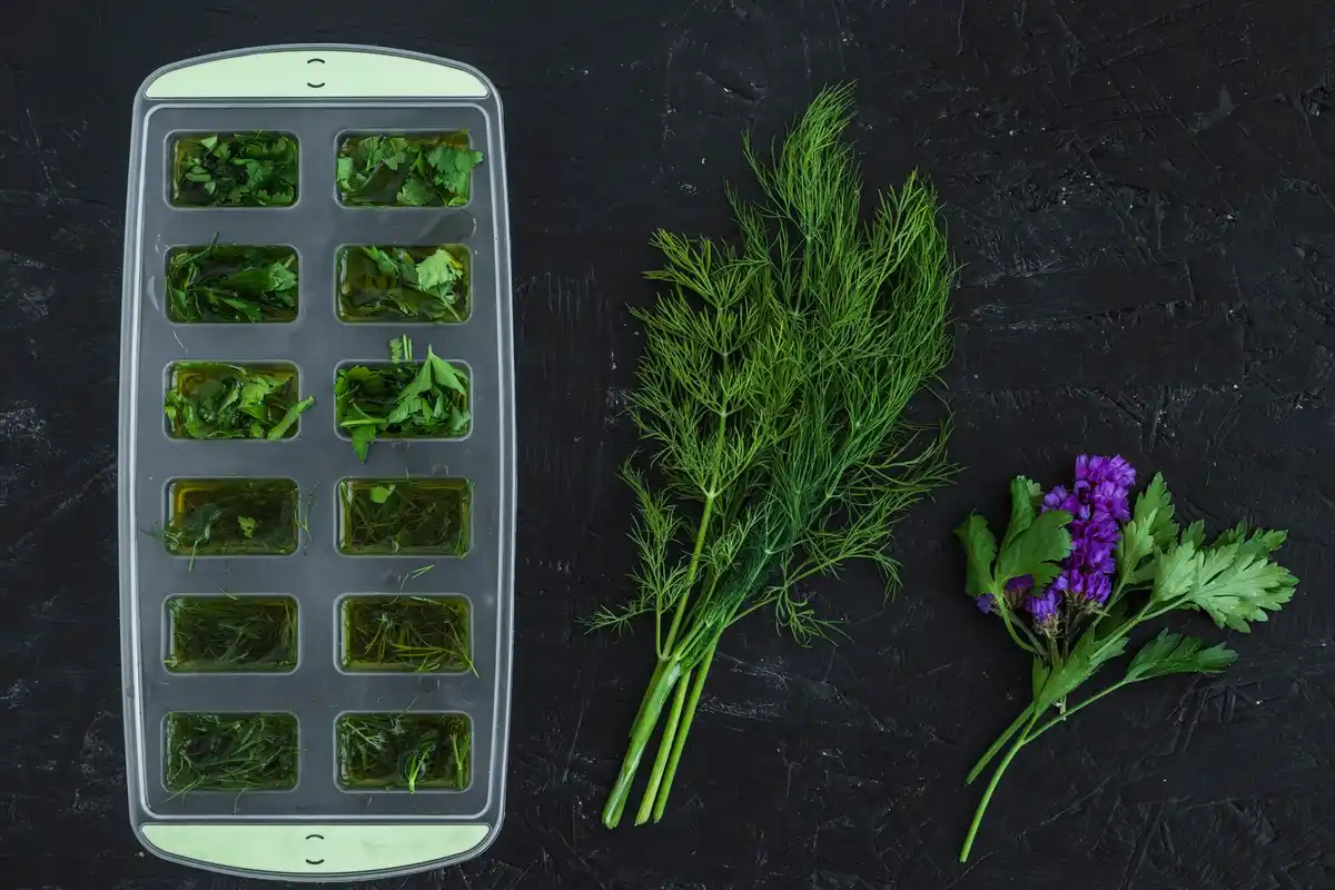 fresh herbs storage kitchen