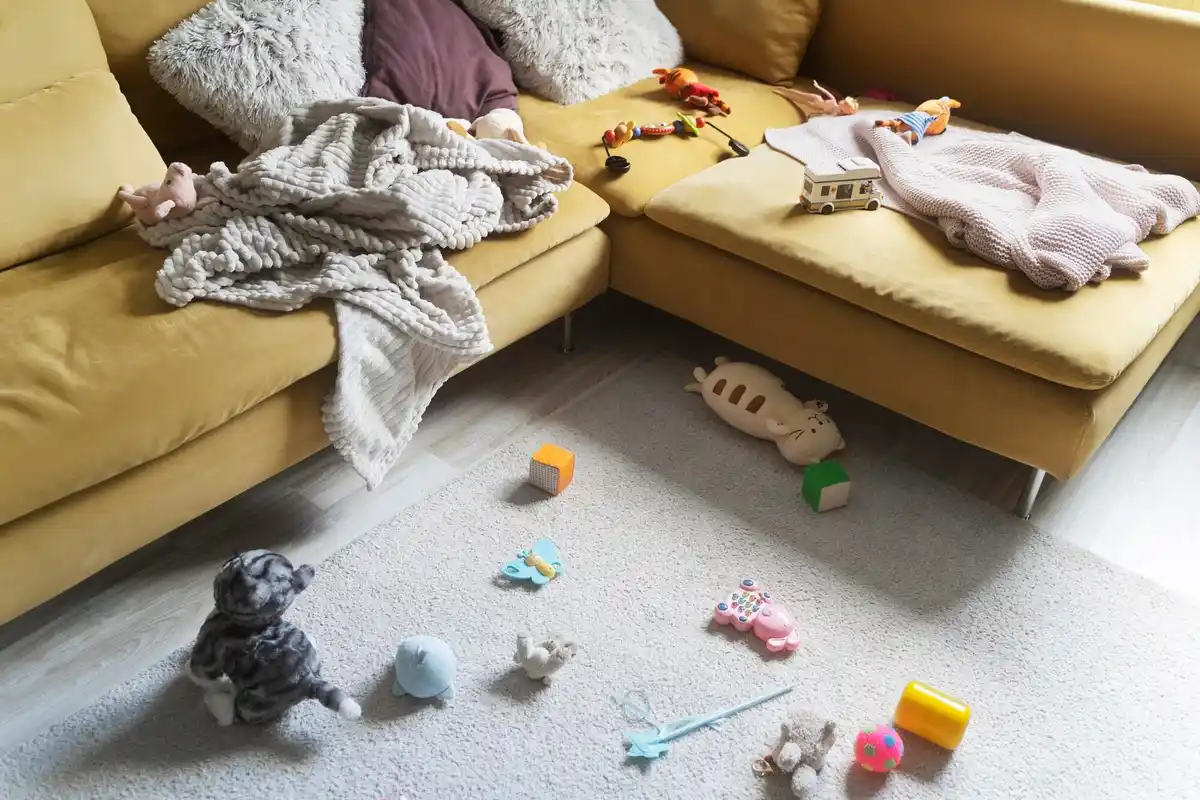 family home chaos organization hacks