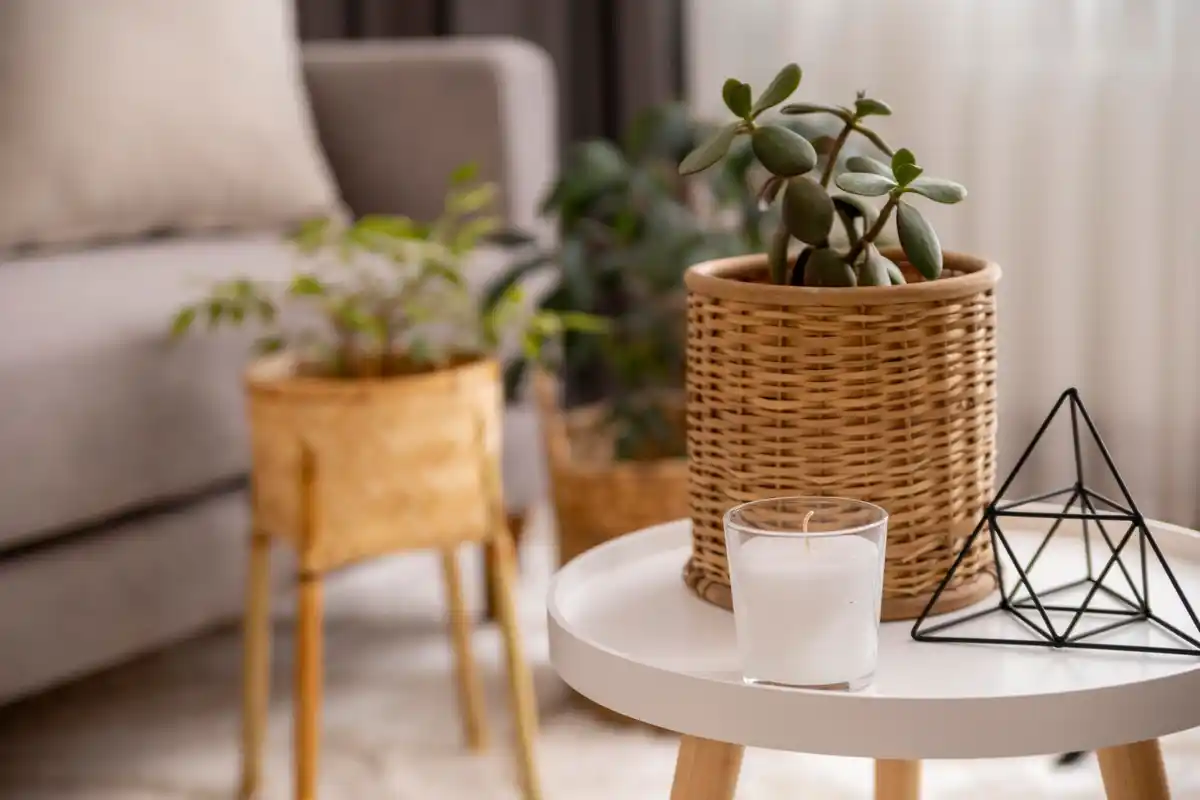 cozy peaceful living room with plants and soft warm lighting
