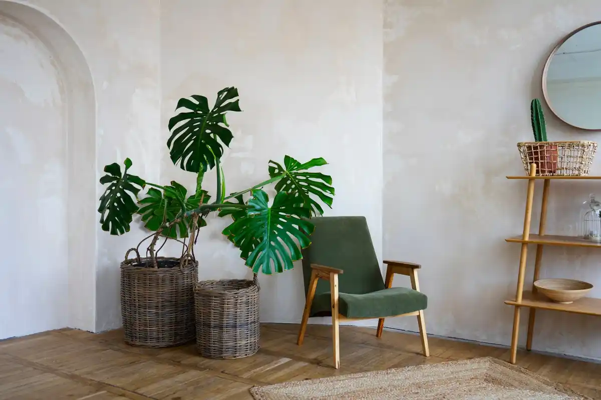 calm cozy living room with plants and soft lighting