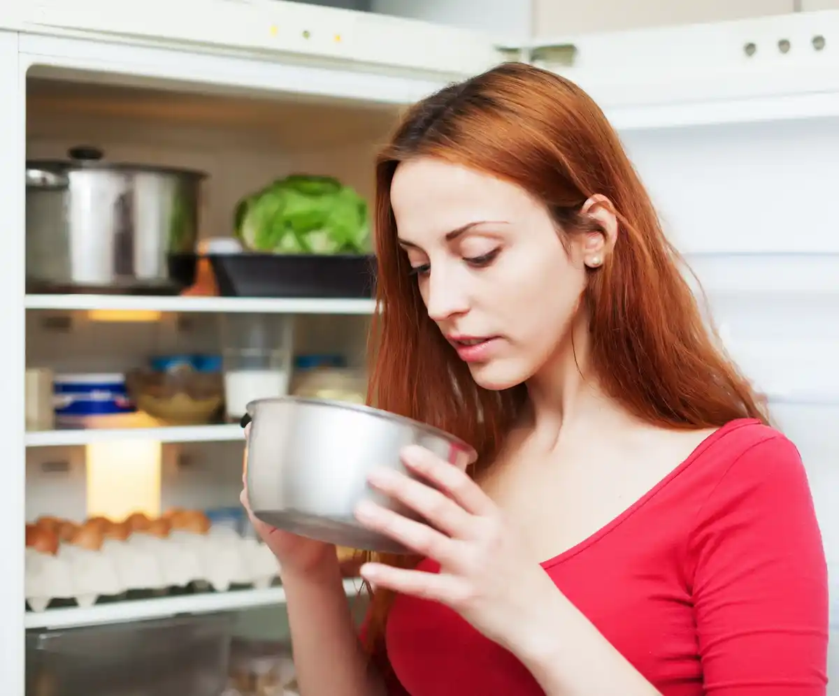 organized fridge food storage Dutch kitchen
