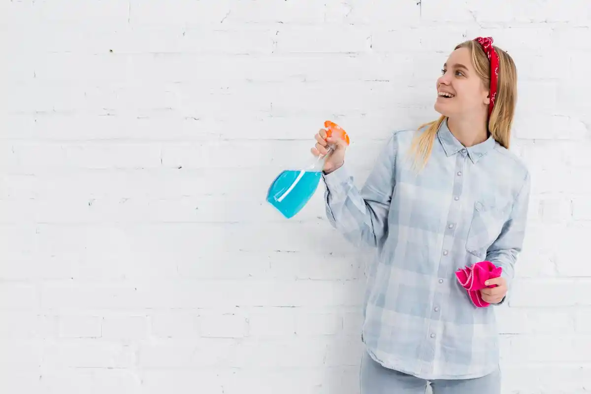 cleaning hacks Dutch household