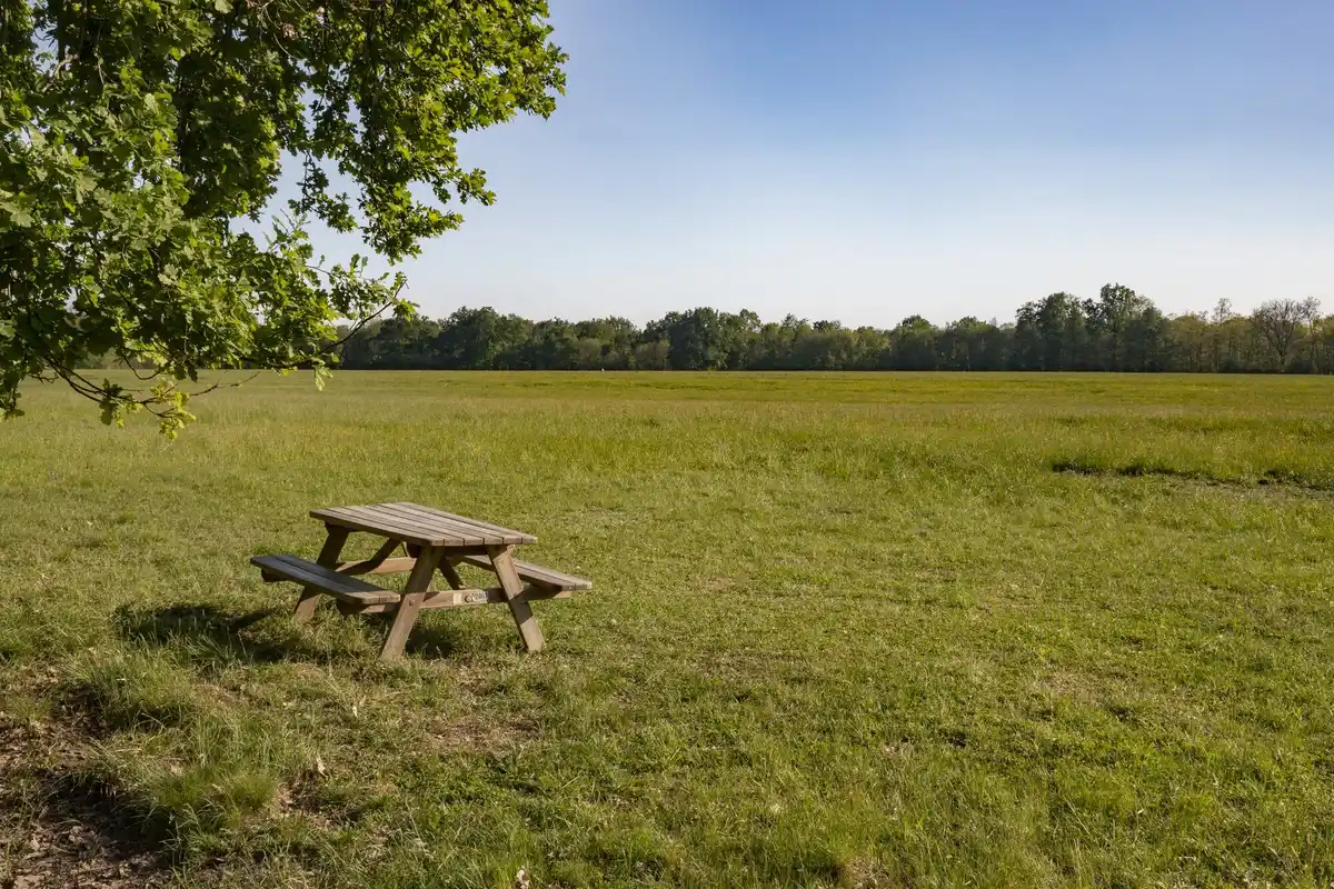 quiet peaceful park bench in the netherlands on a sunny day