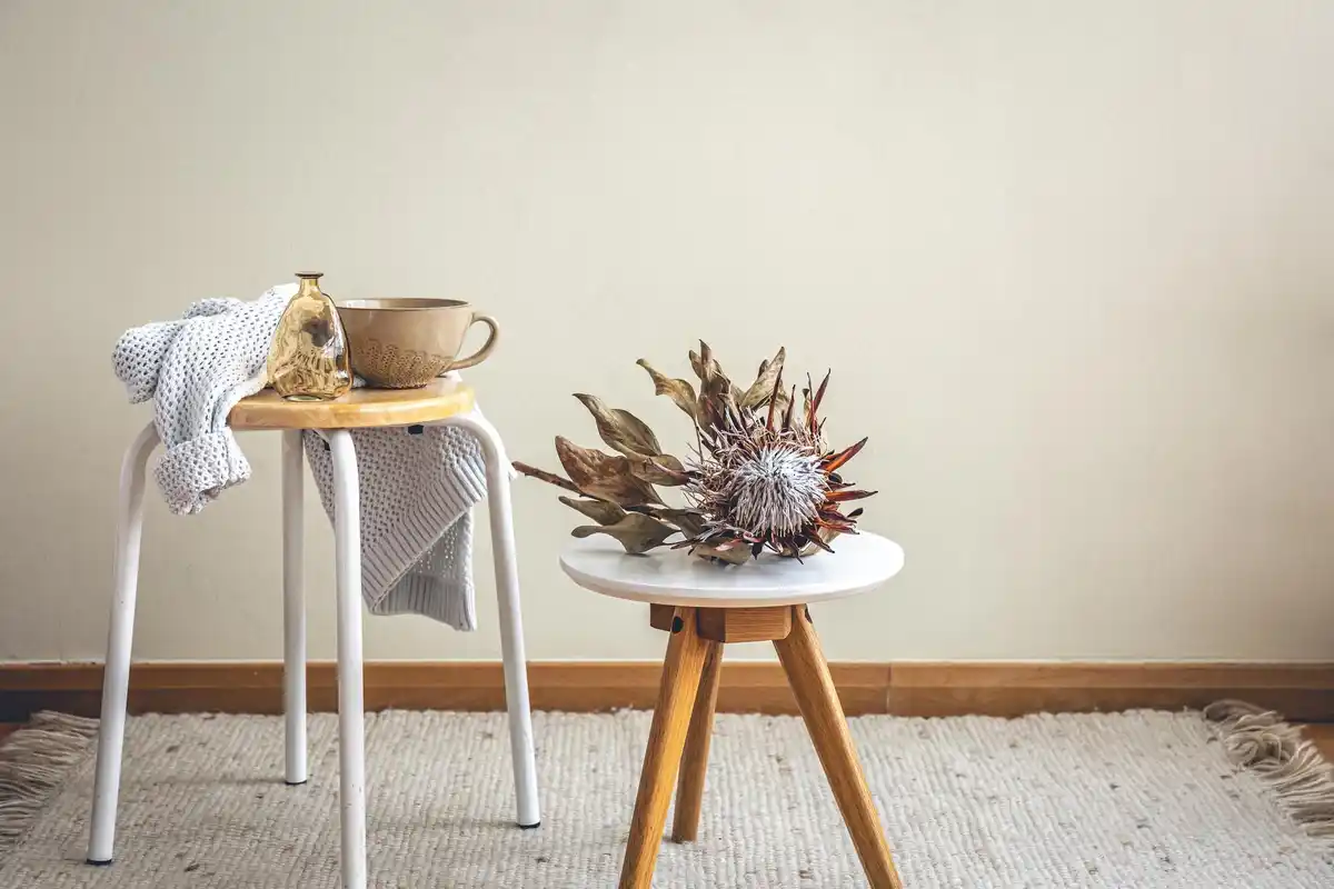 tidy minimalist Dutch living room