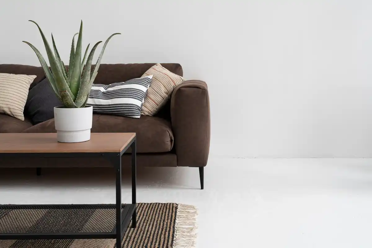 minimalist tidy living room