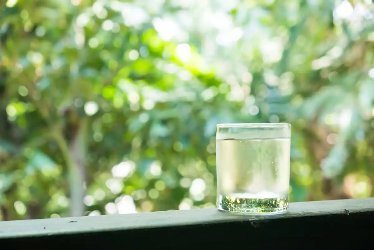morning hydration glass water