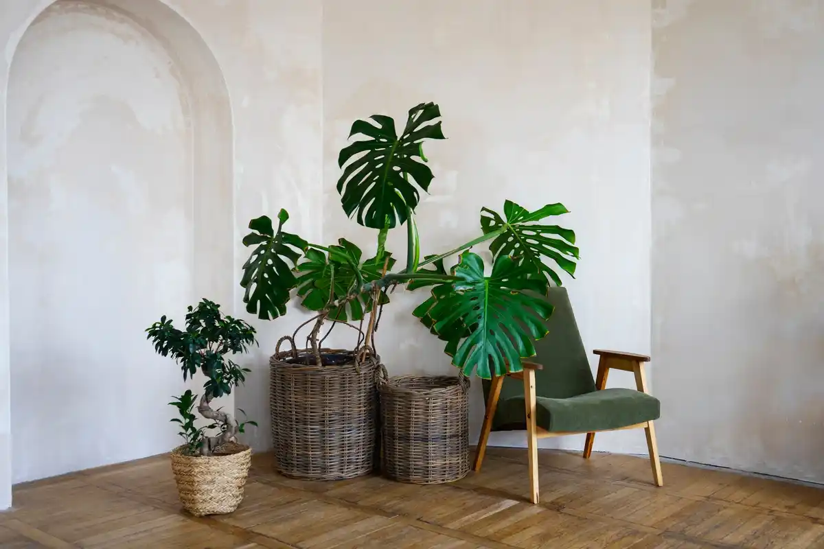 open Dutch living room bright cozy plants doorway