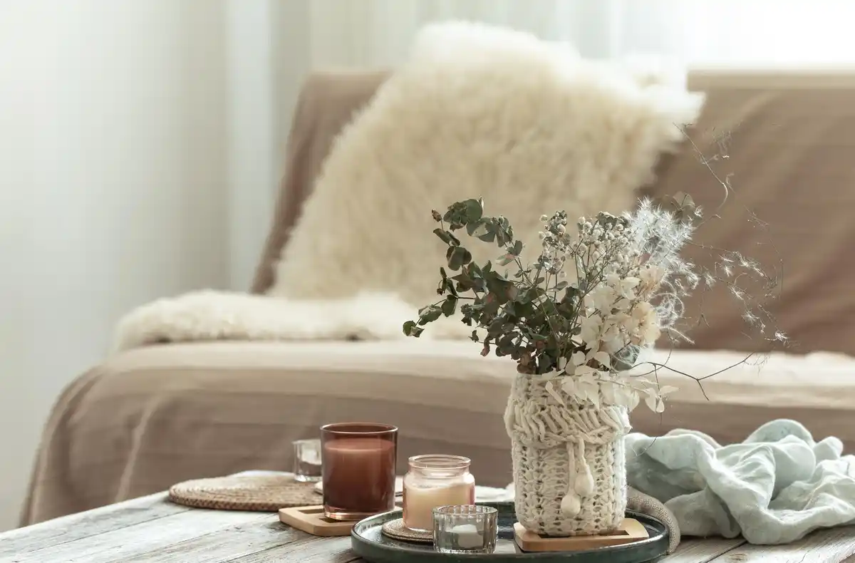 cozy minimalist Dutch living room with natural light and plants