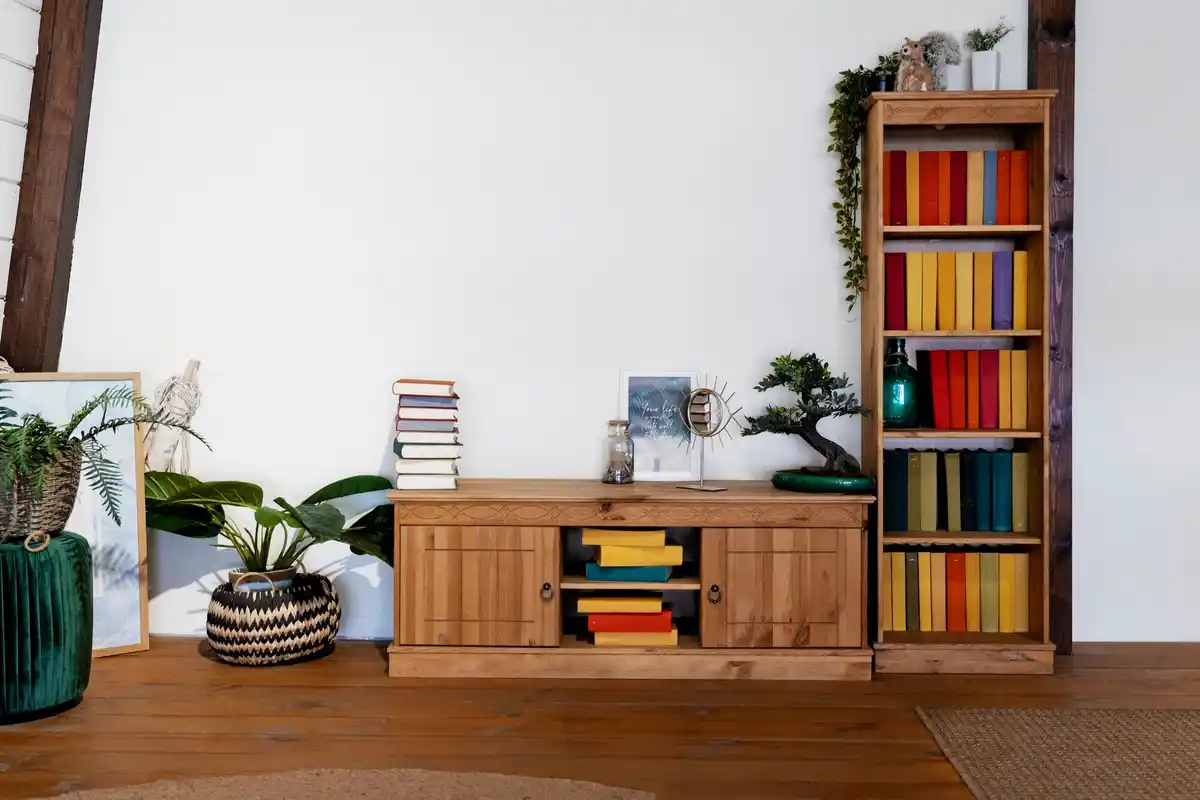 Cozy Dutch living room with minimalist design and organized shelves