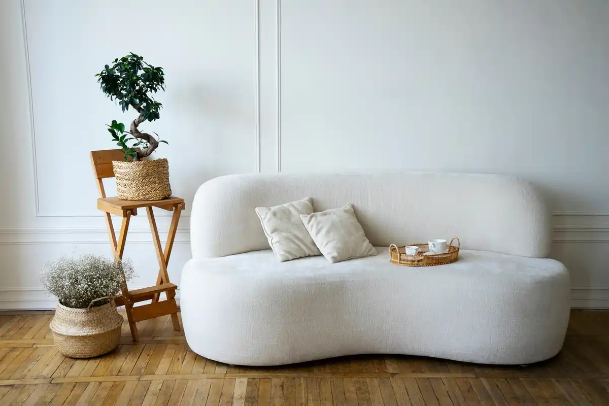 tidy Dutch living room with minimalist decor