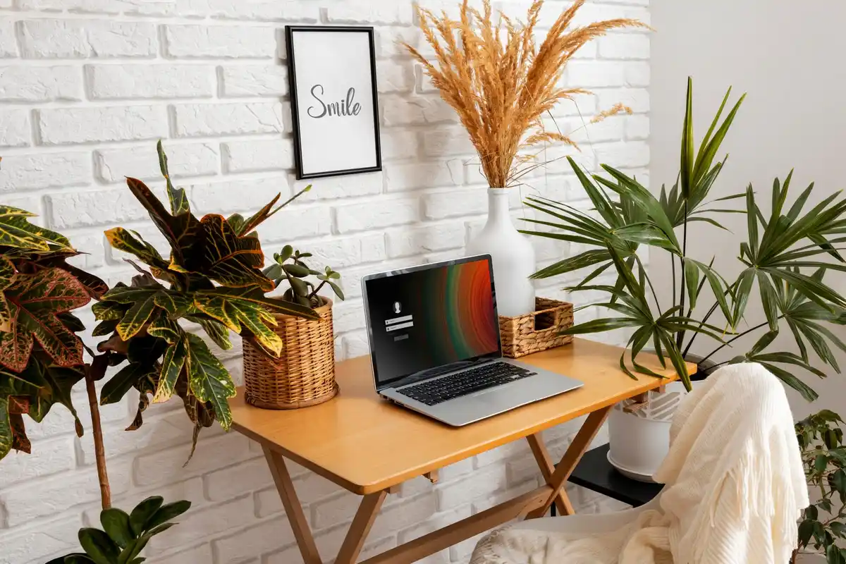 small organized home office desk with storage and plants