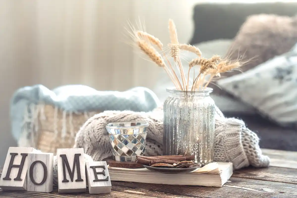 clutter free cozy living room