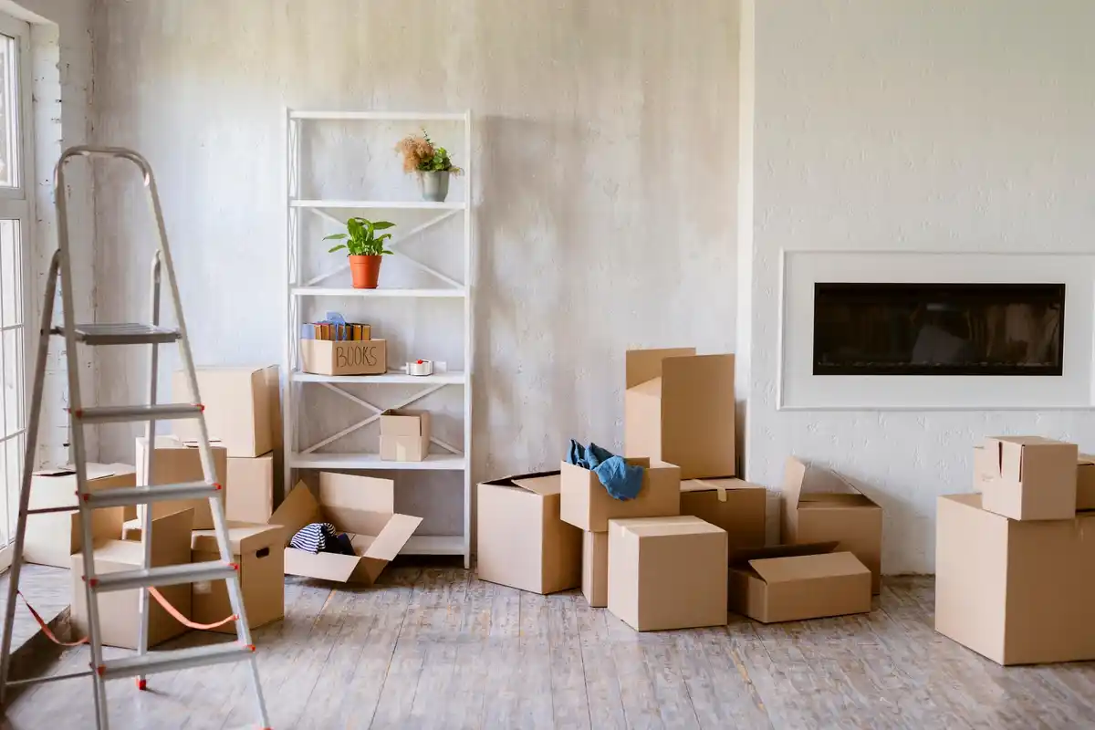 organized family storage room with boxes and shelves