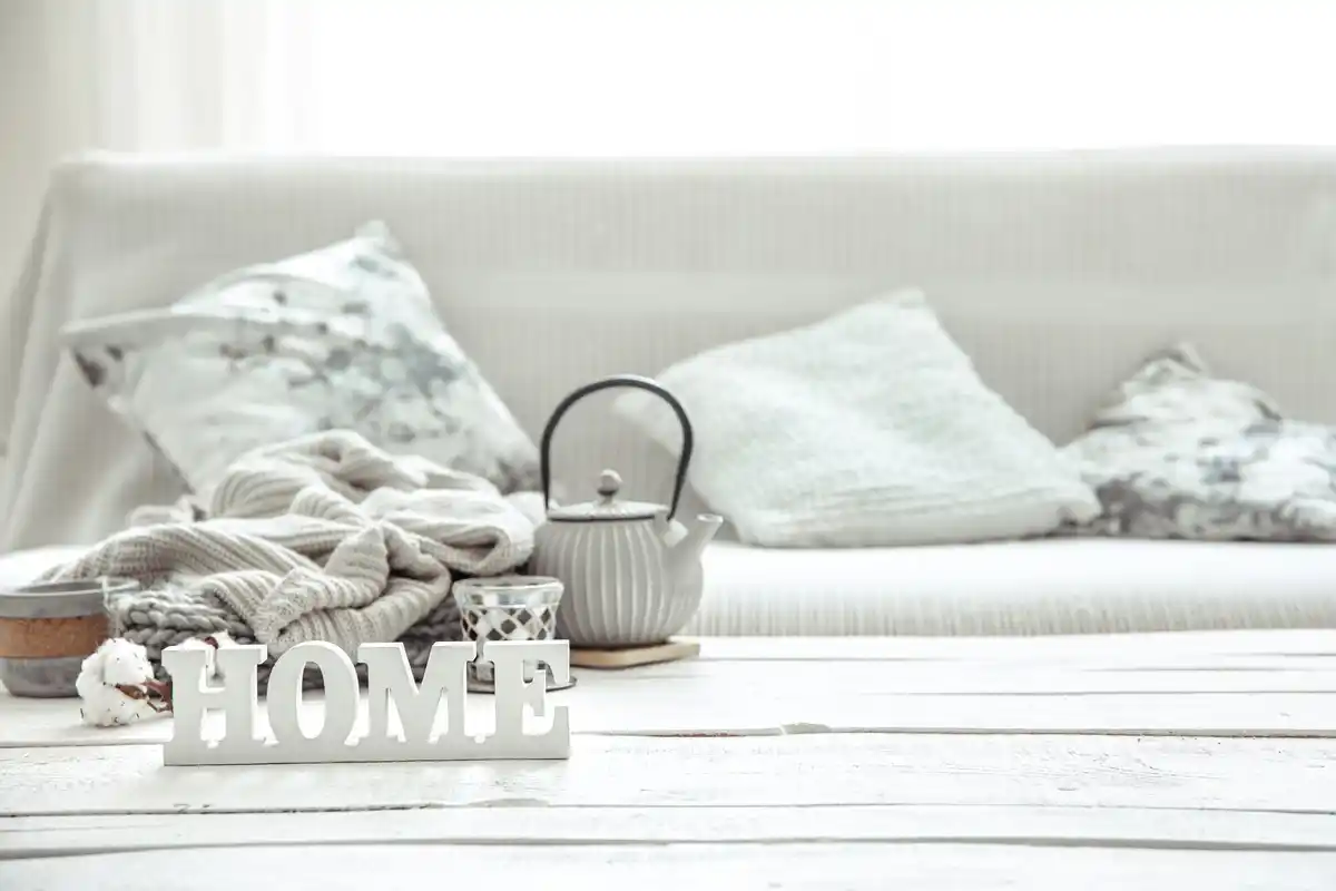 cozy tidy living room natural light minimalist