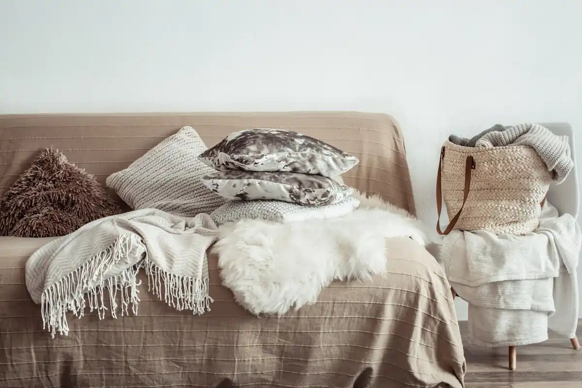 cozy tidy living room minimalist decor