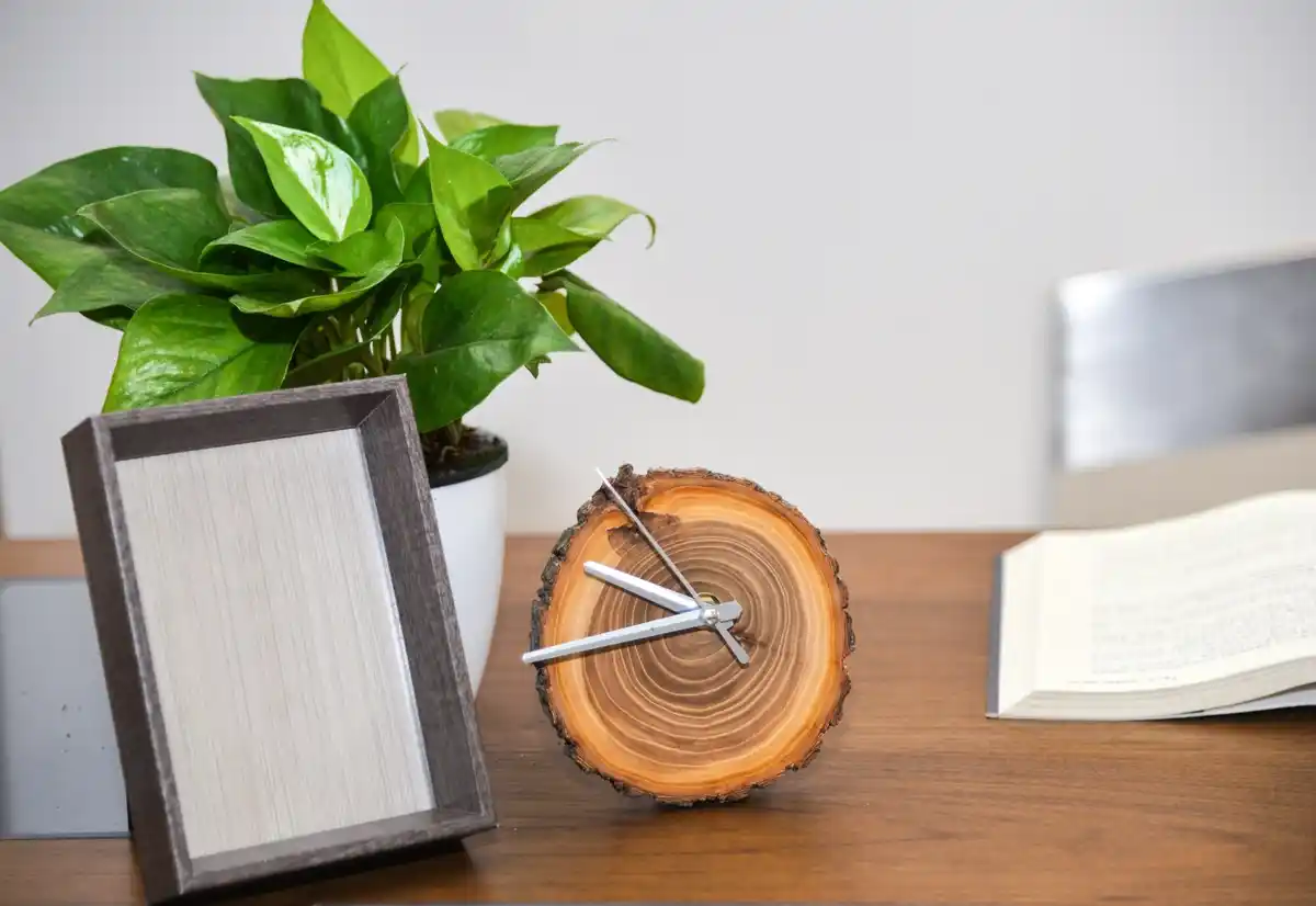 small tidy minimalist desk with plants