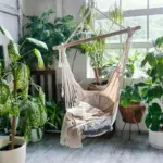 tidy modern Dutch living room with storage baskets and plants