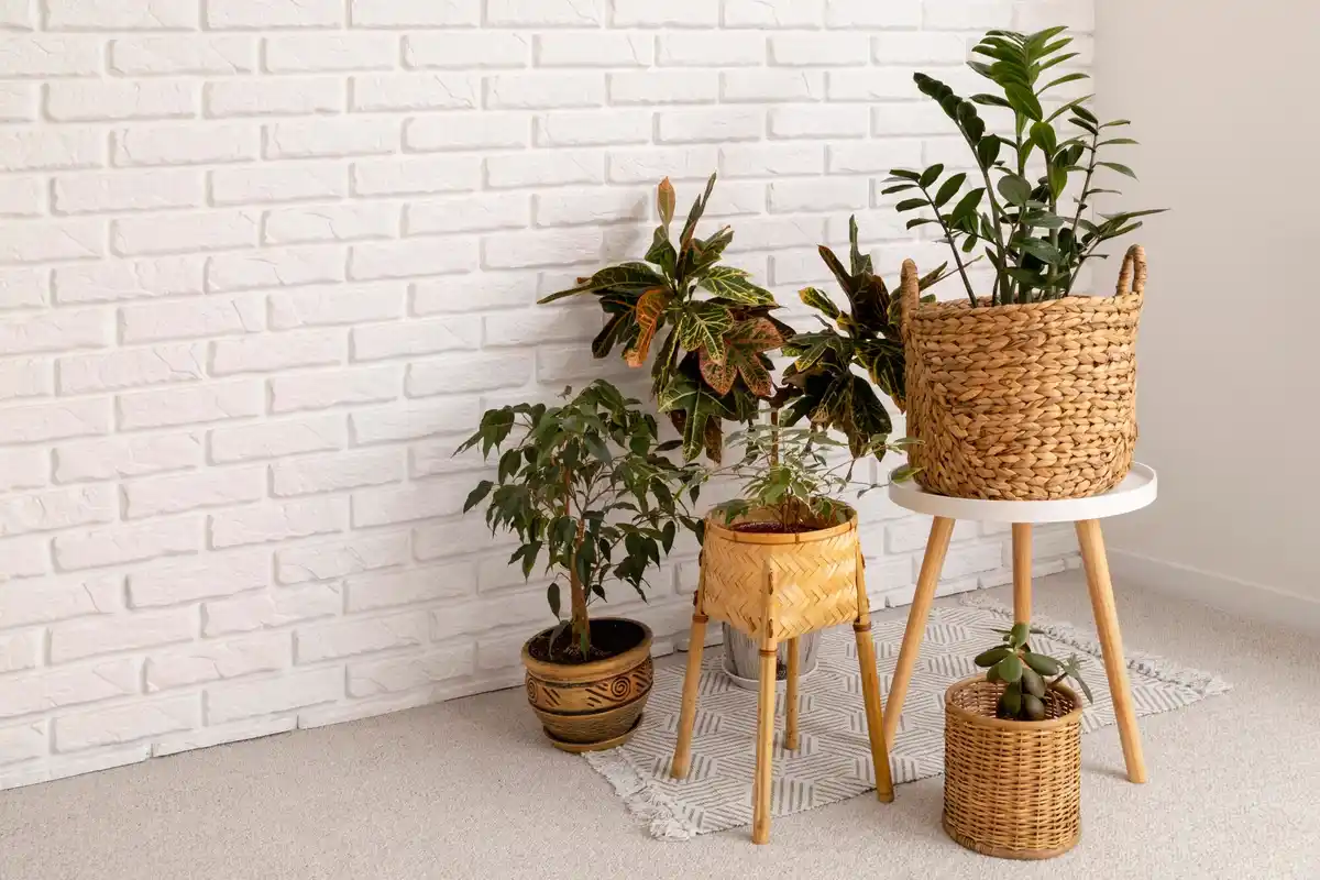 fresh Dutch home interior with plants and clean floor