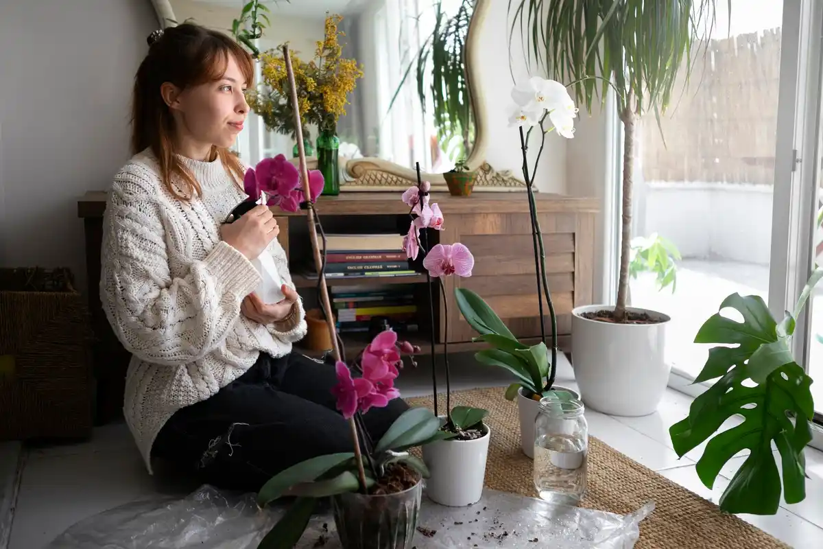 Dutch living room with houseplants and natural sunlight