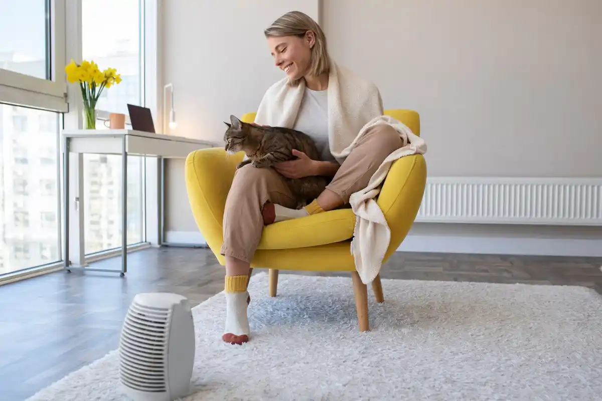humidifier reducing dust in home