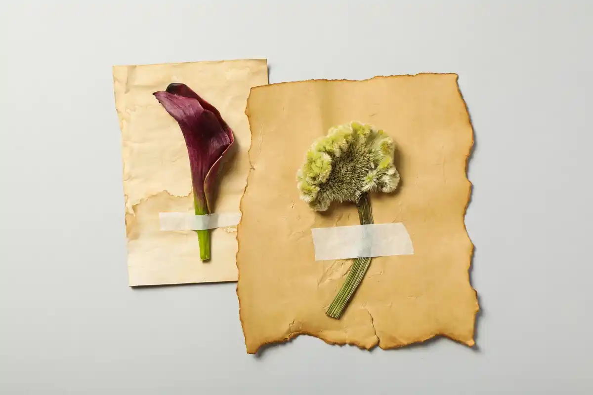 herbarium with QR codes creative DIY project