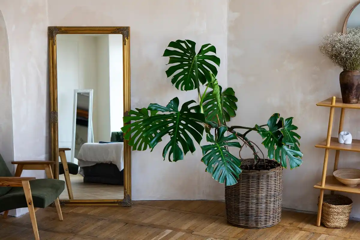 large wall mirror in bright small room