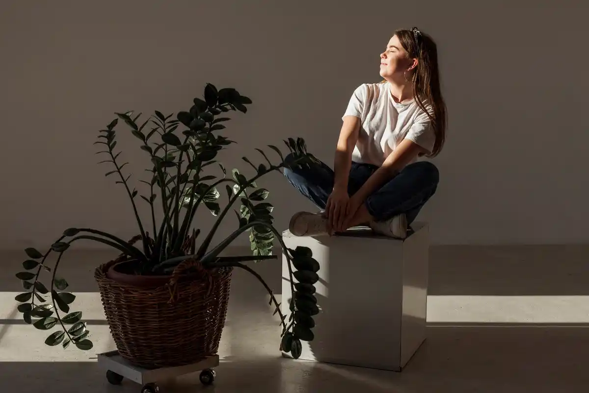 cozy tidy living room with plants and sunlight