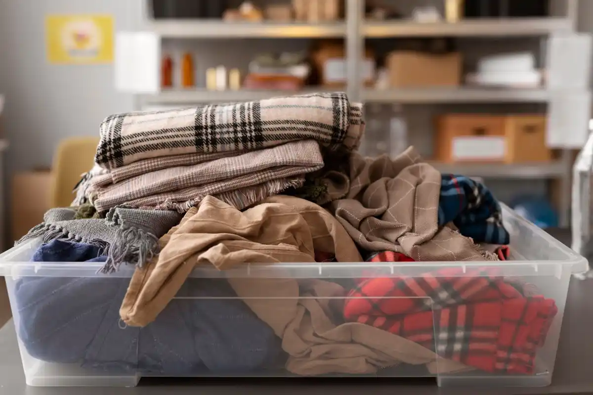 home decluttering and organizing day tips