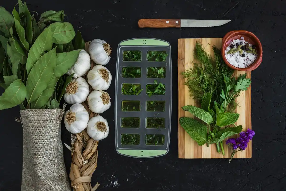 fresh herbs ice cubes kitchen