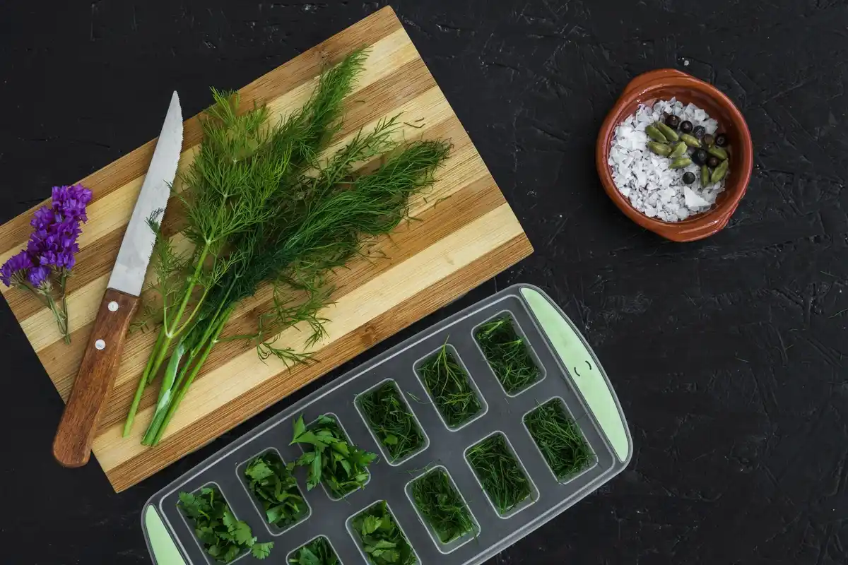 freezing vegetables at home preserving freshness
