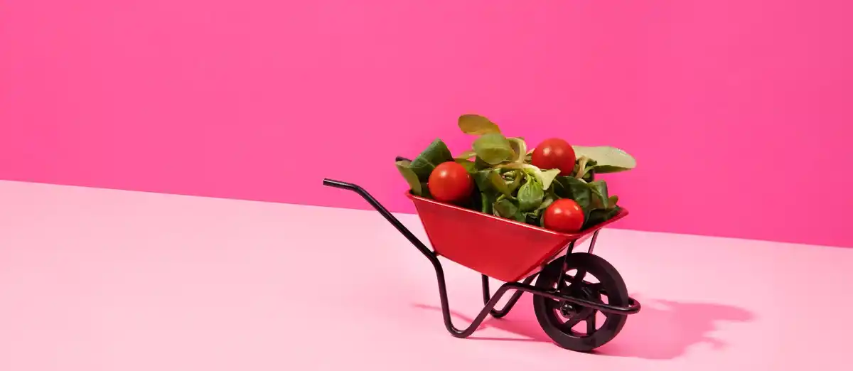 fresh vegetables fridge storage tips colorful